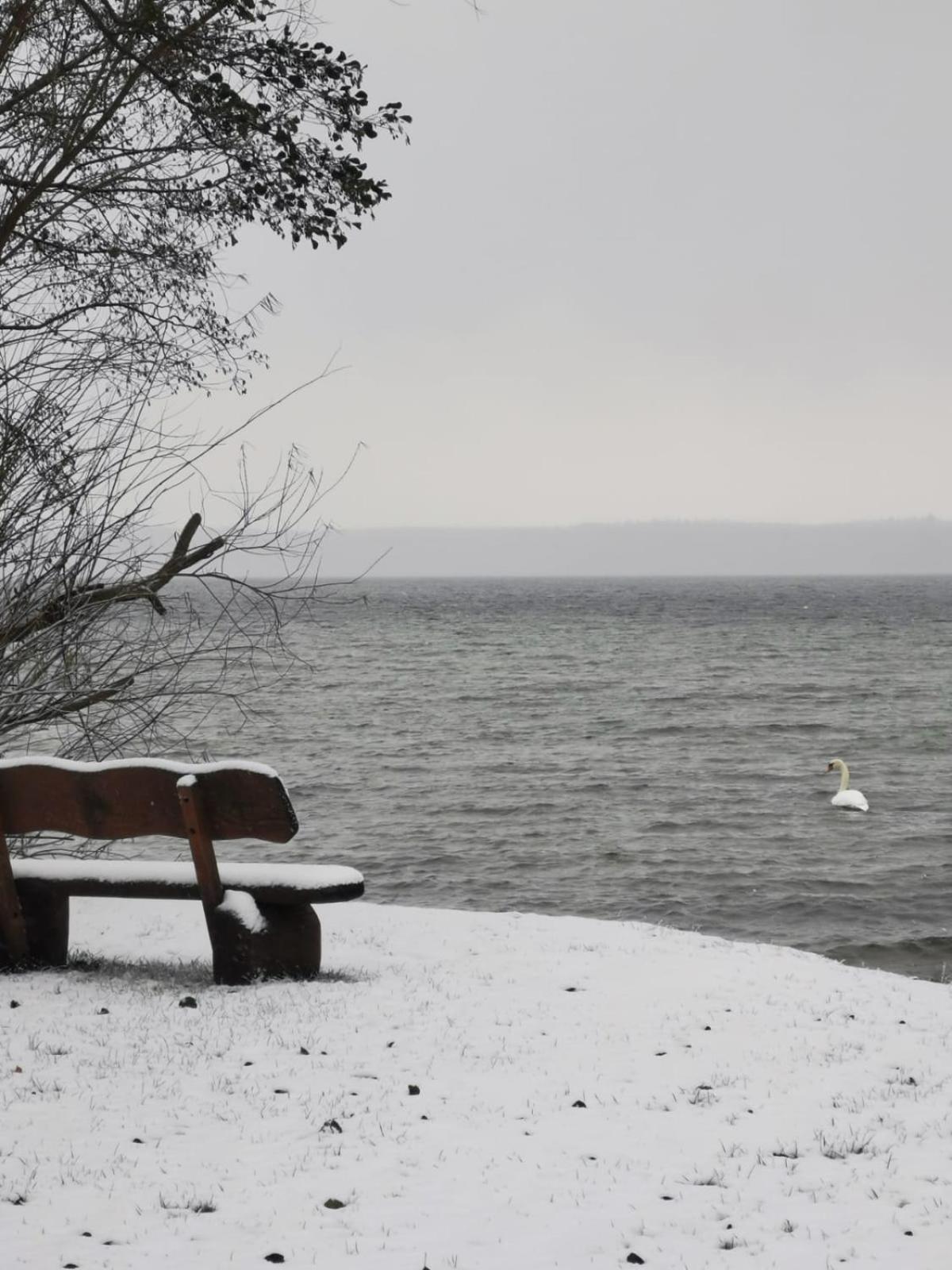 Wald- und Seeblick Camp Zislow Exterior foto